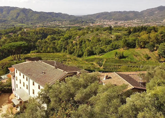 아파트 Alloro Grillo - Happy *