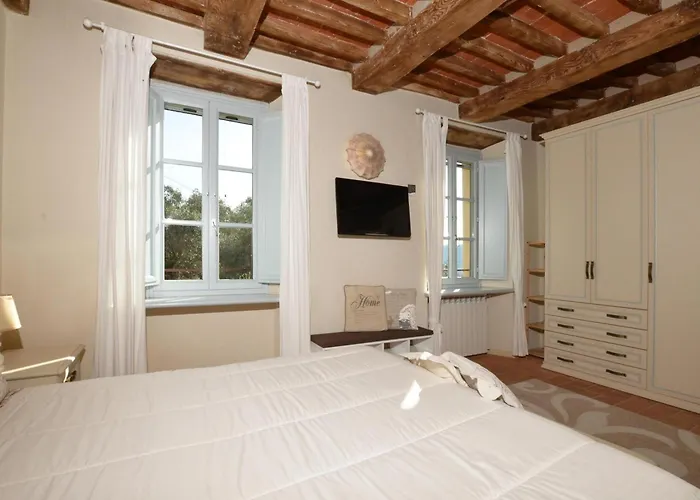 Alloro Grillo - Happy