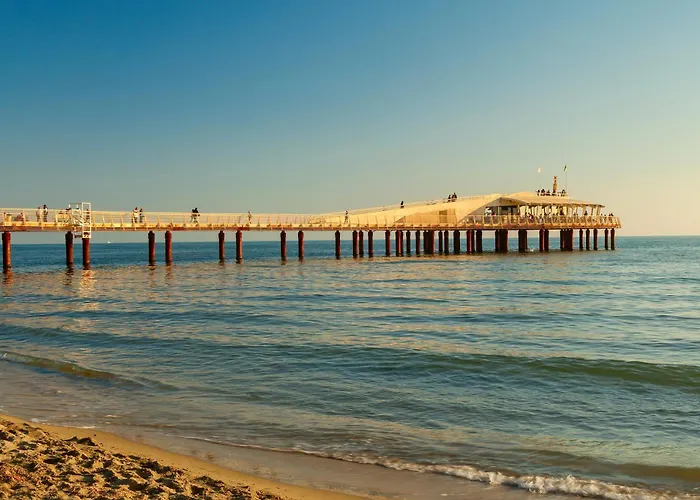 Alloro Grillo - Happy