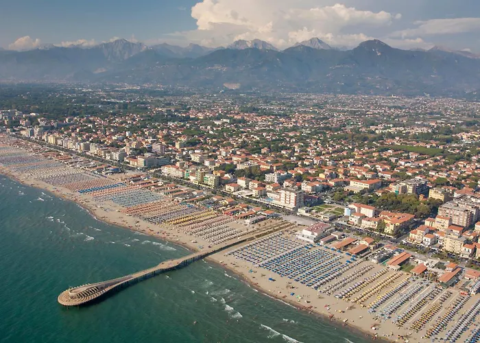 Alloro Grillo - Happy 카마이오레