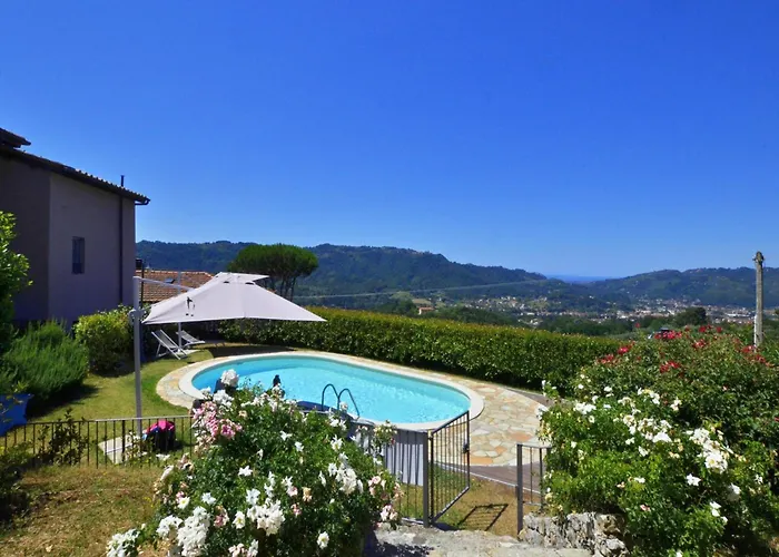 Alloro Grillo - Happy