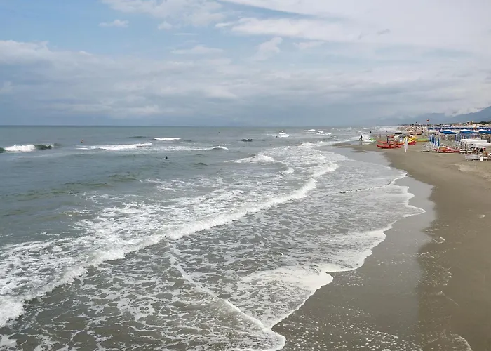 Alloro Grillo - Happy *