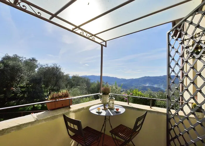 Alloro Grillo - Happy 카마이오레