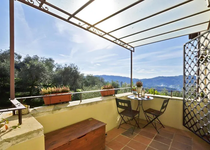 Alloro Grillo - Happy *