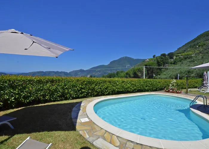 Alloro Grillo - Happy 카마이오레